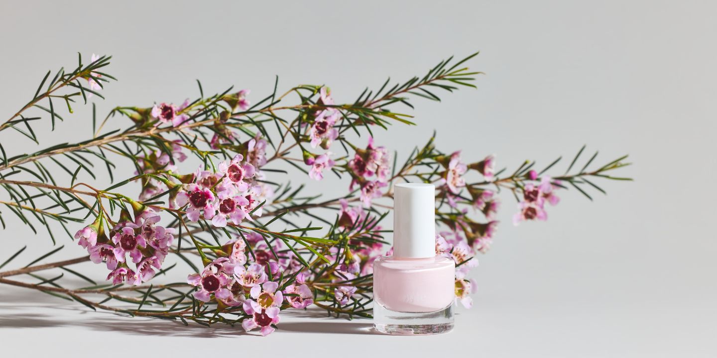 image-Pinks & Reds
