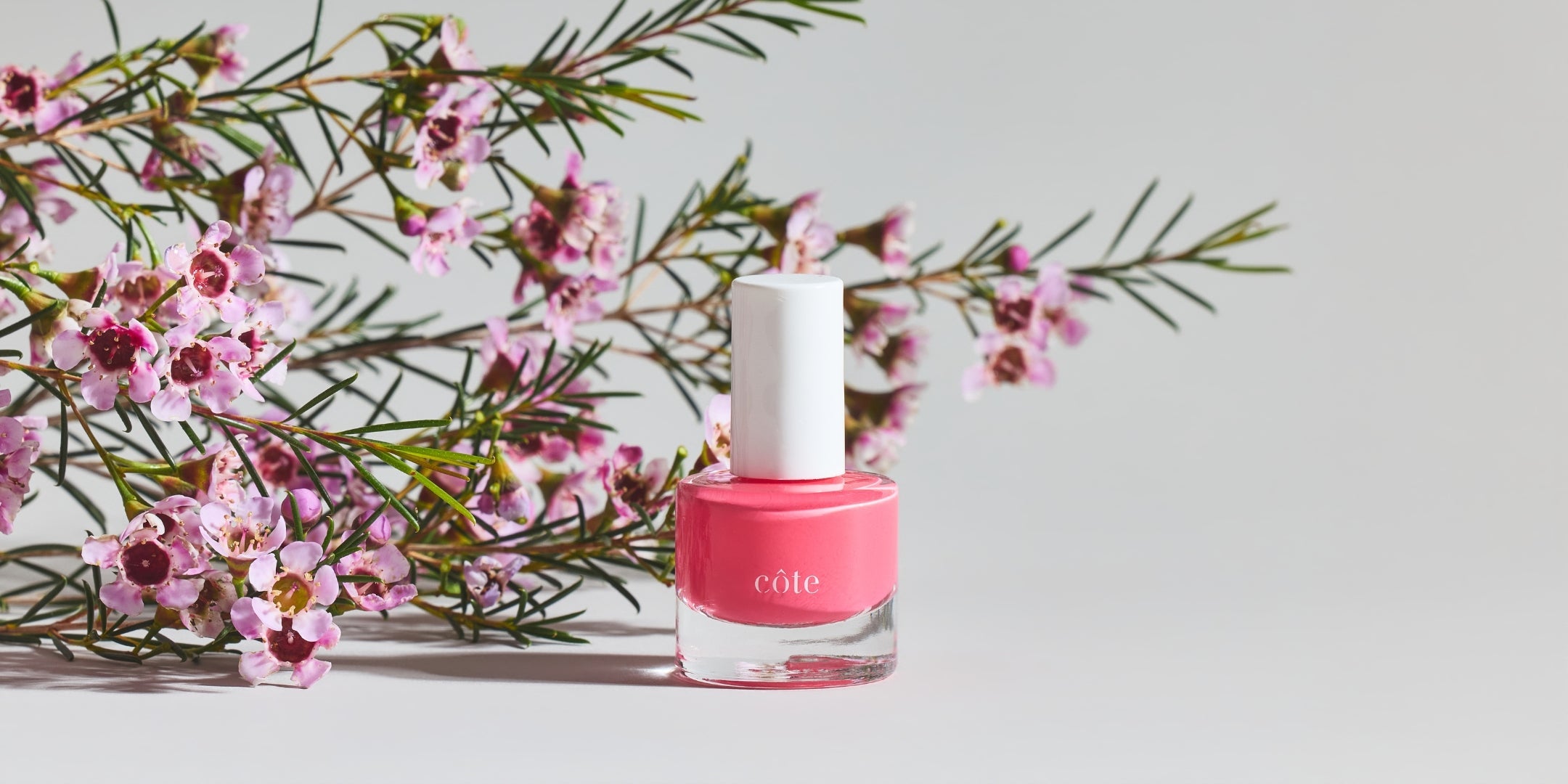 image-The Petals & Sunshine Edit